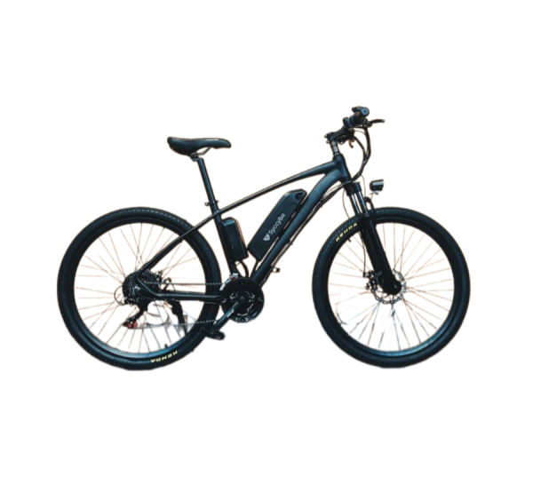 Remove-bg.ai_1731325180254